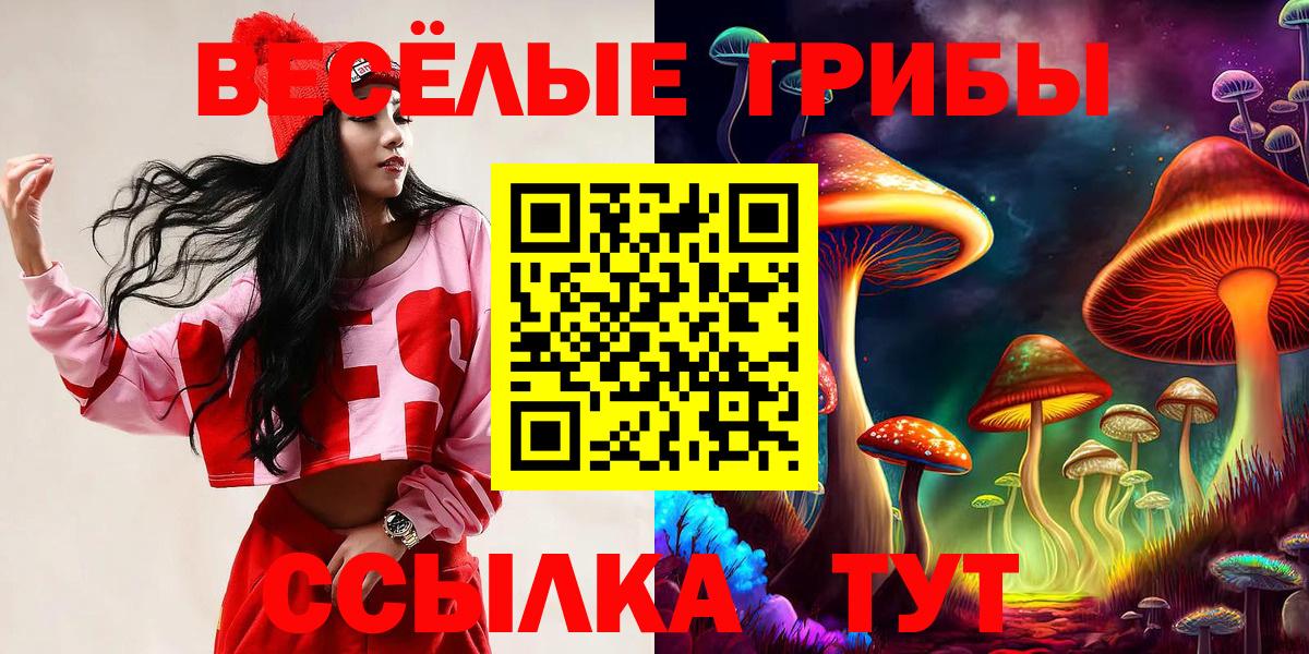 Псилоцибиновые грибы прущие грибы  Вход с VPN  Георгиевск 