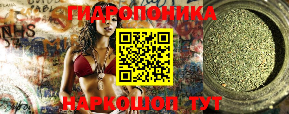 Конопля марихуана Георгиевск